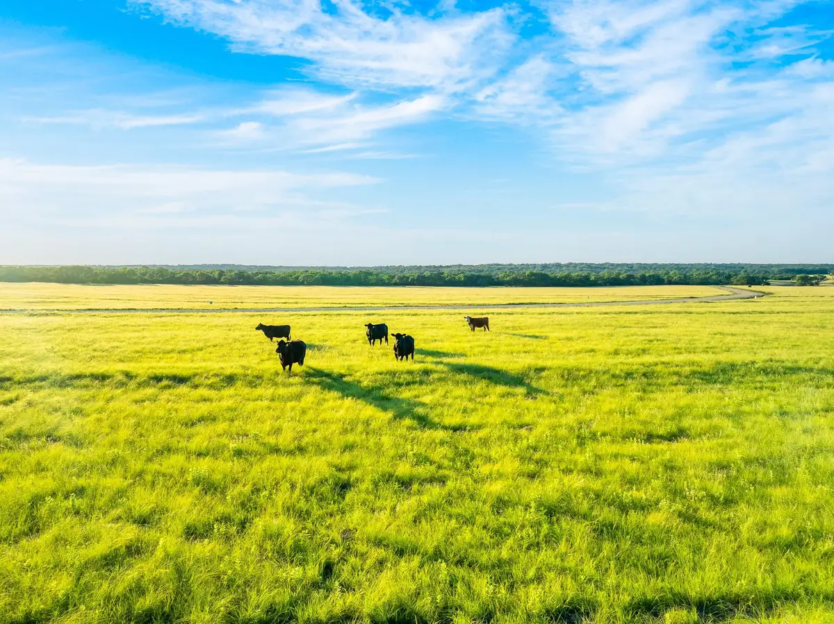 7 Feild Ranch Rd, Burnet, TX 78611 - #1
