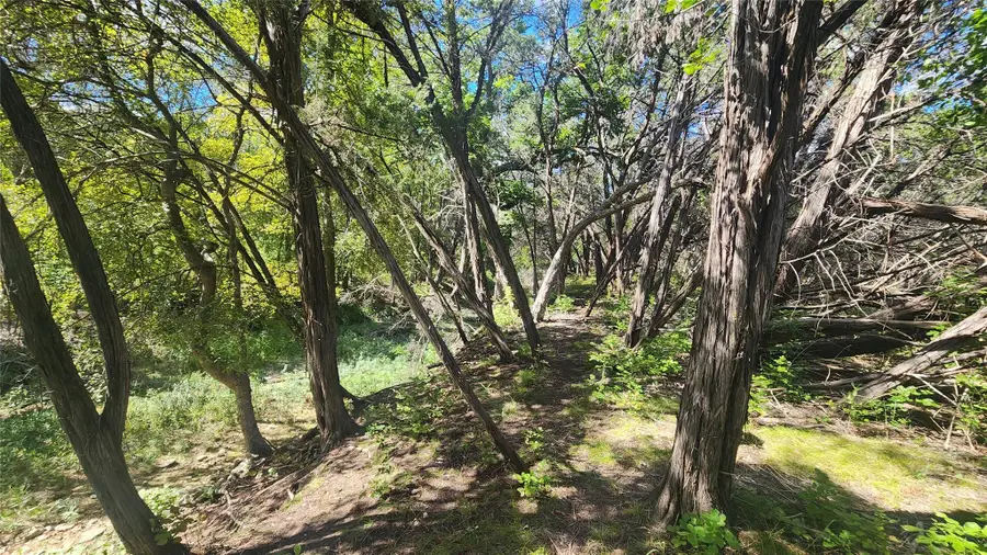 25615 Ronald W Reagan Blvd, Georgetown, TX 78633 - Image #3