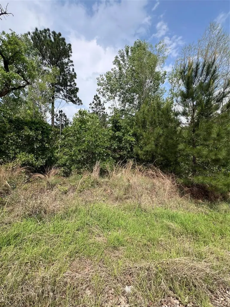 TBD Monku Ct, Bastrop, TX 78602 - #1