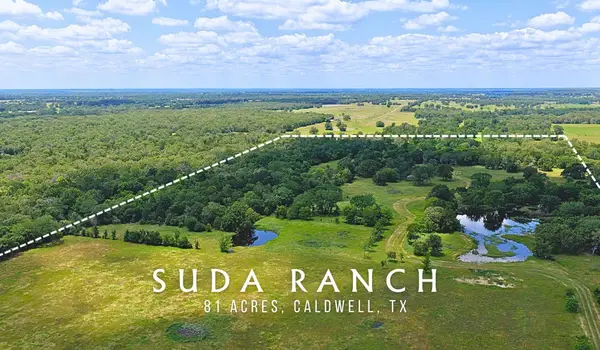 5380 County Road 132 (81.02 Acres), Somerville, TX 77879