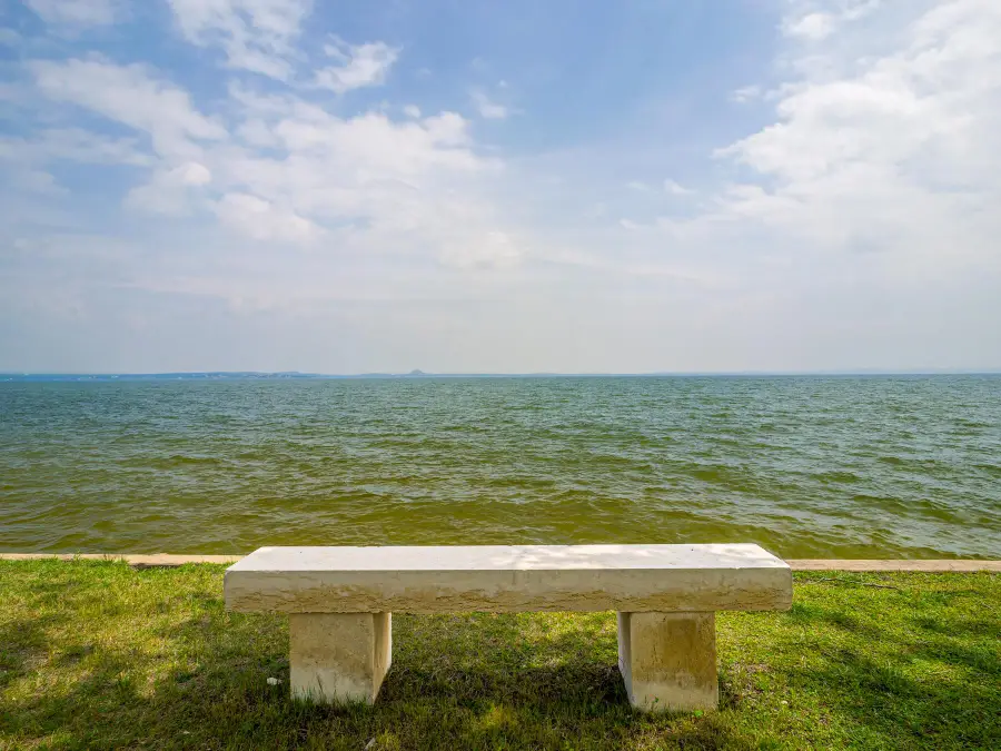 736 W Lakecrest Dr, Bluffton, TX 78607 - #3
