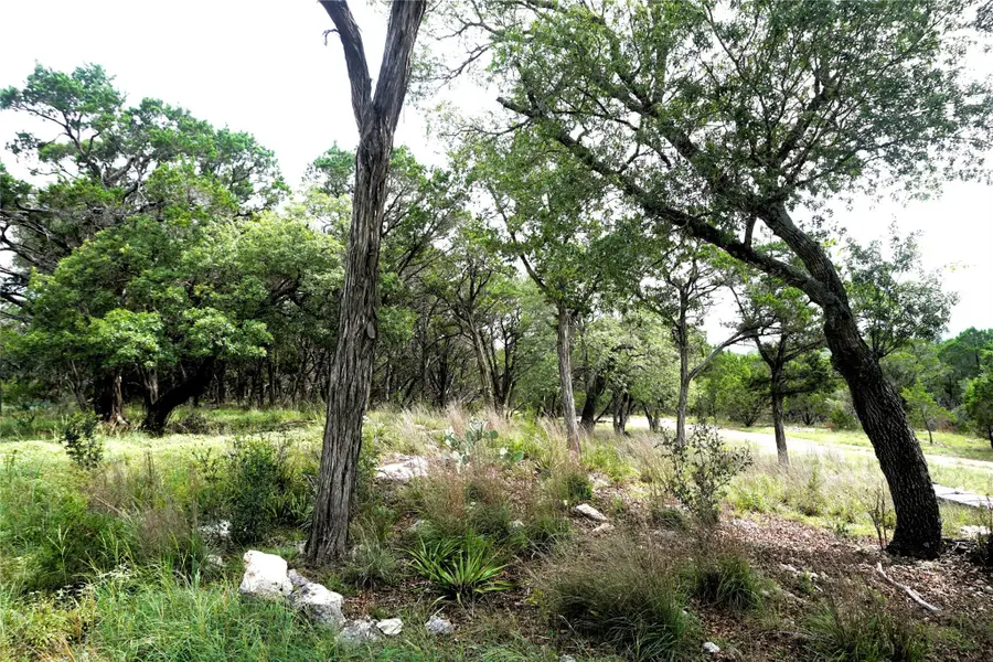 850 Days End Rd, Wimberley, TX 78676 - #3