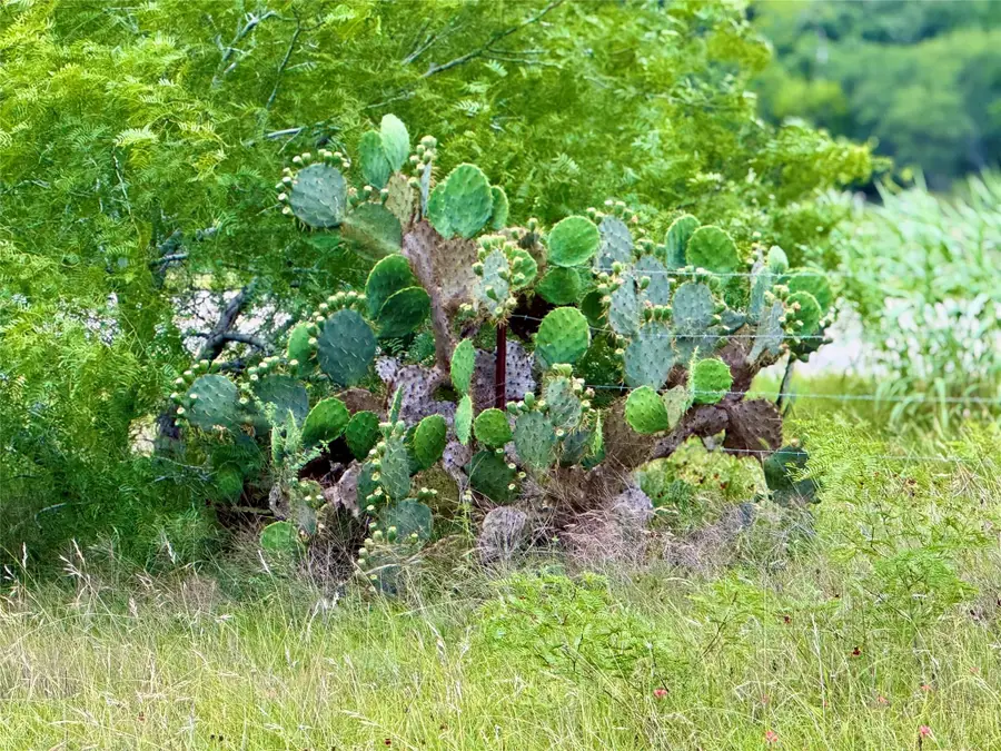 TBD Tract Q Fm 108, Smiley, TX 78159 - #3