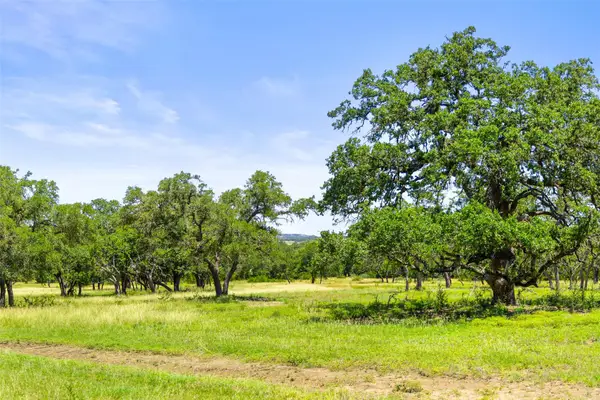 1094 Lindeman Ln, Blanco, TX 78606