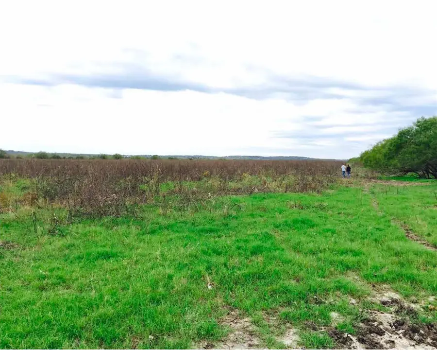 16001 Richards Dr, Del Valle, TX 78617 - #2