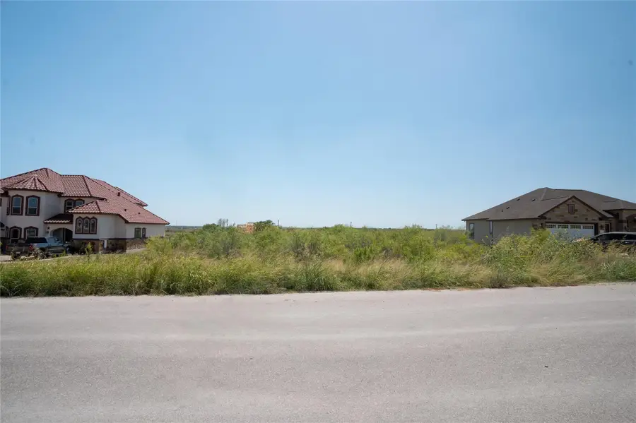 195 Burrobrush St, Niederwald, TX 78640 - Image #2