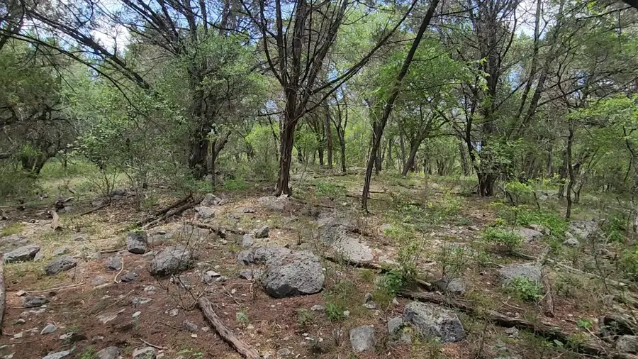 410 Owl Hollow Rd, San Marcos, TX 78666 - #3
