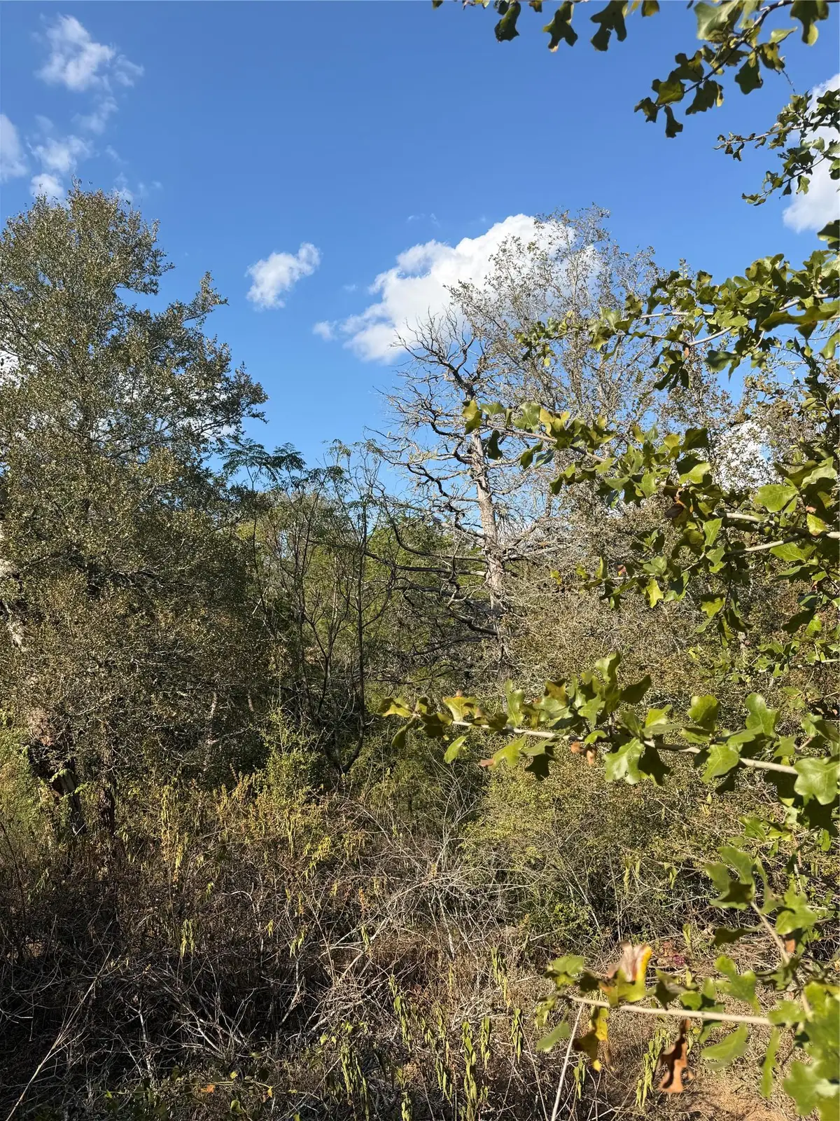 Lot 539 Palikea Cir, Bastrop, TX 78602 - #1