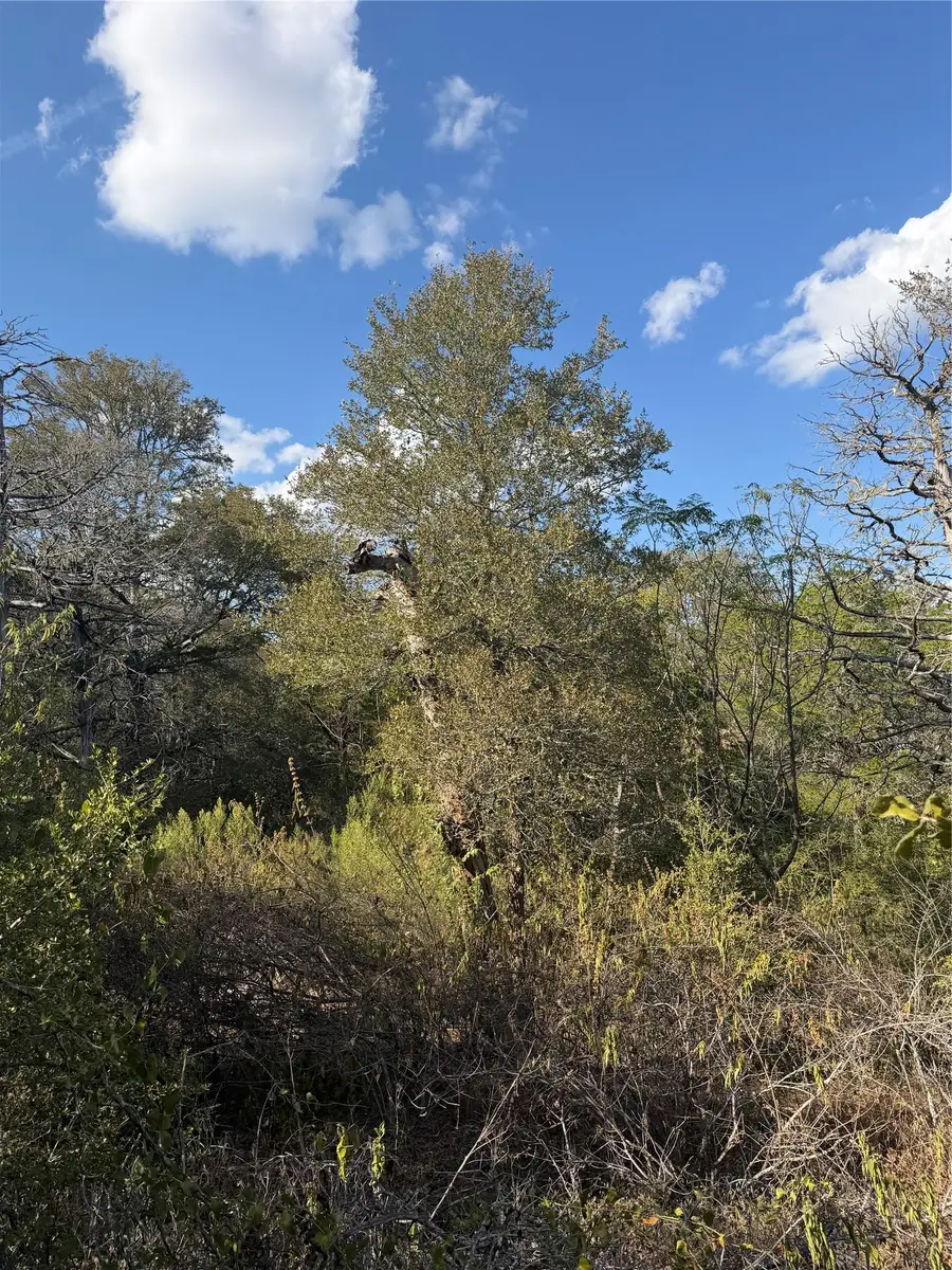 Lot 539 Palikea Cir, Bastrop, TX 78602 - #2