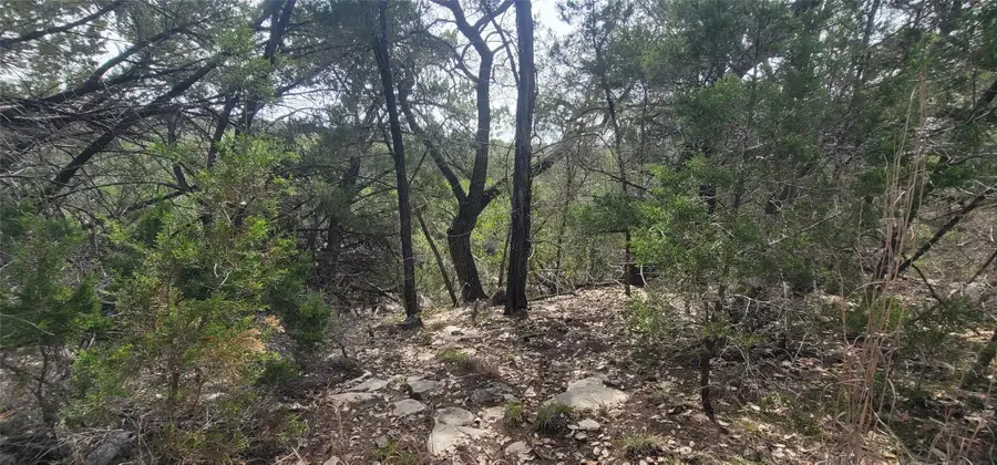 21003 Panhandle Cv, Lago Vista, TX 78645 - #3