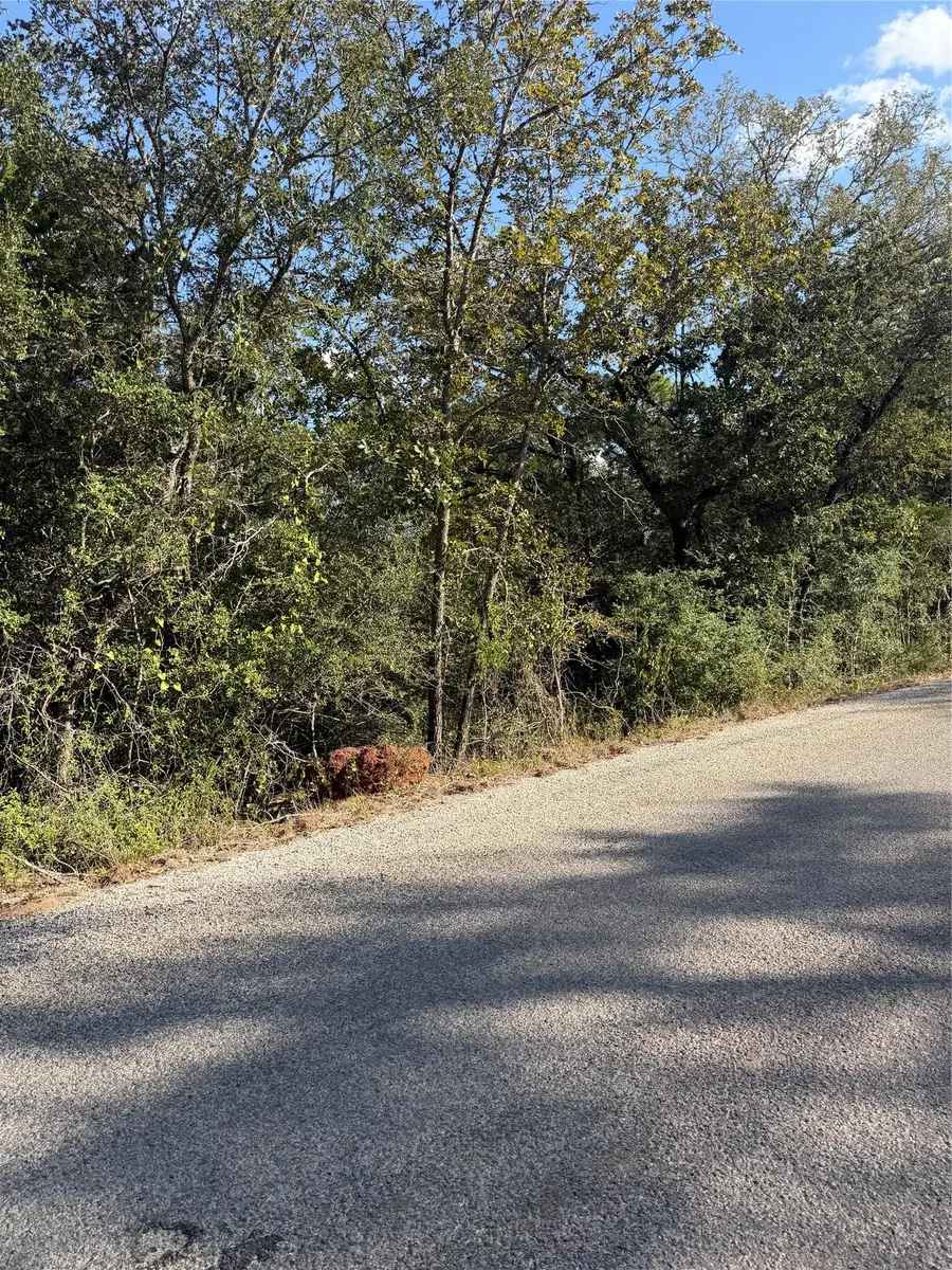 Lot 189 Kaelupulu Dr, Bastrop, TX 78602 - #2