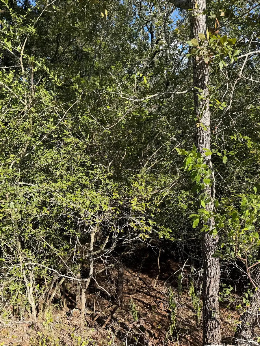 Lot 189 Kaelupulu Dr, Bastrop, TX 78602 - #3