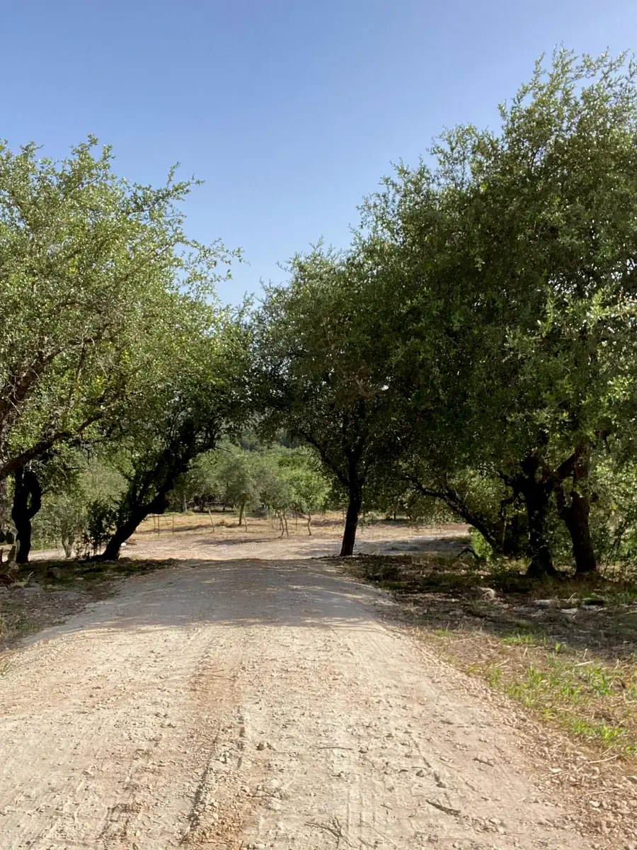6709 Singleton Bend Rd #4, Marble Falls, TX 78654 - #2