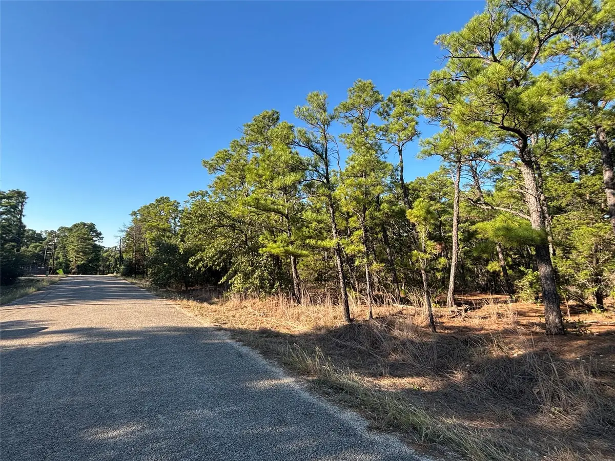 TBD Pine Cone Dr, Bastrop, TX 78602 - #1