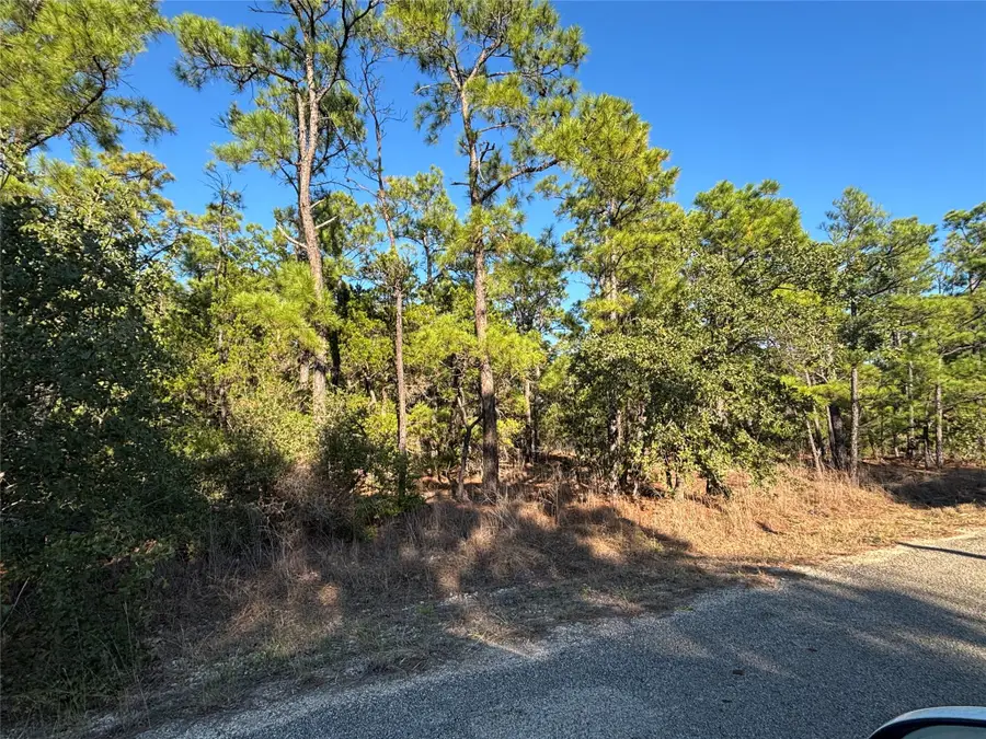 TBD Pine Cone Dr, Bastrop, TX 78602 - #3