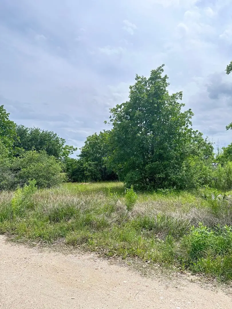 136A Wild Bird Loop, Smithville, TX 78957 - #1