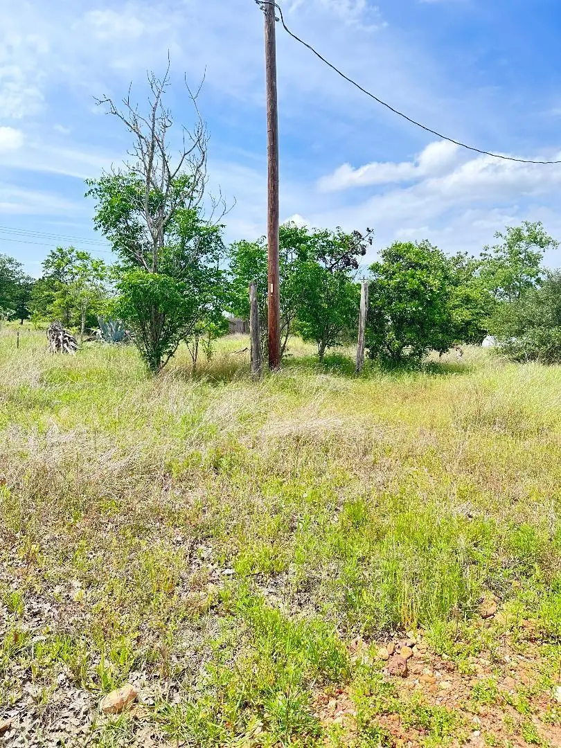136A Wild Bird Loop, Smithville, TX 78957 - #3