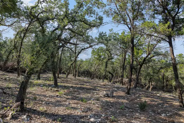 601 Mount Olive School Rd, Wimberley, TX 78676