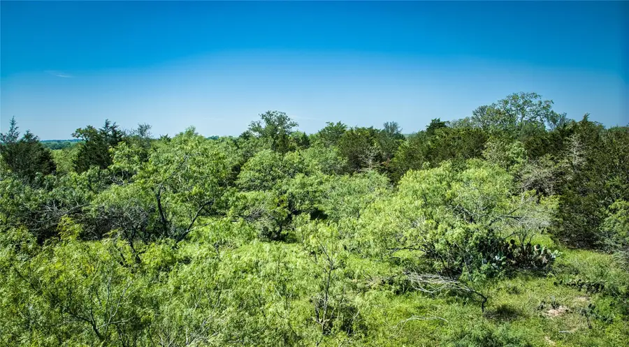 Lot 1C Shiloh Dr, Bastrop, TX 78602 - #3