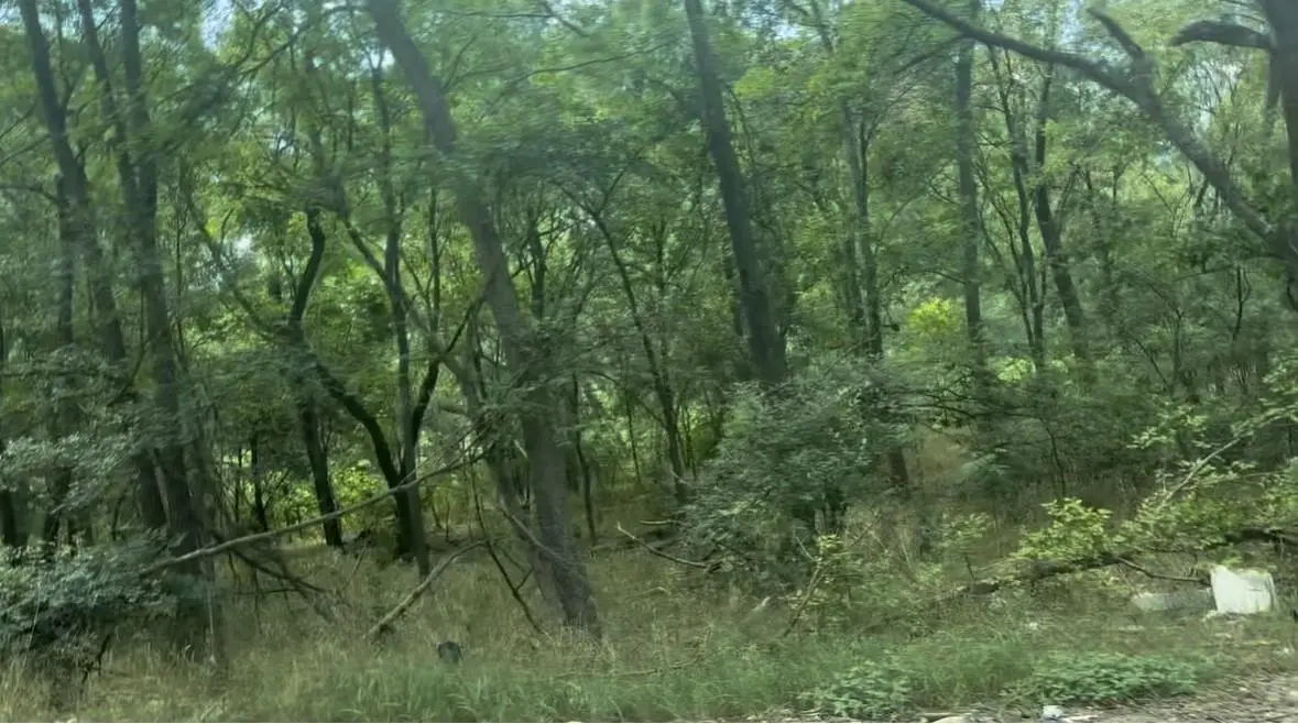 3802 Lower Dr, Austin, TX 78725 - Image #1