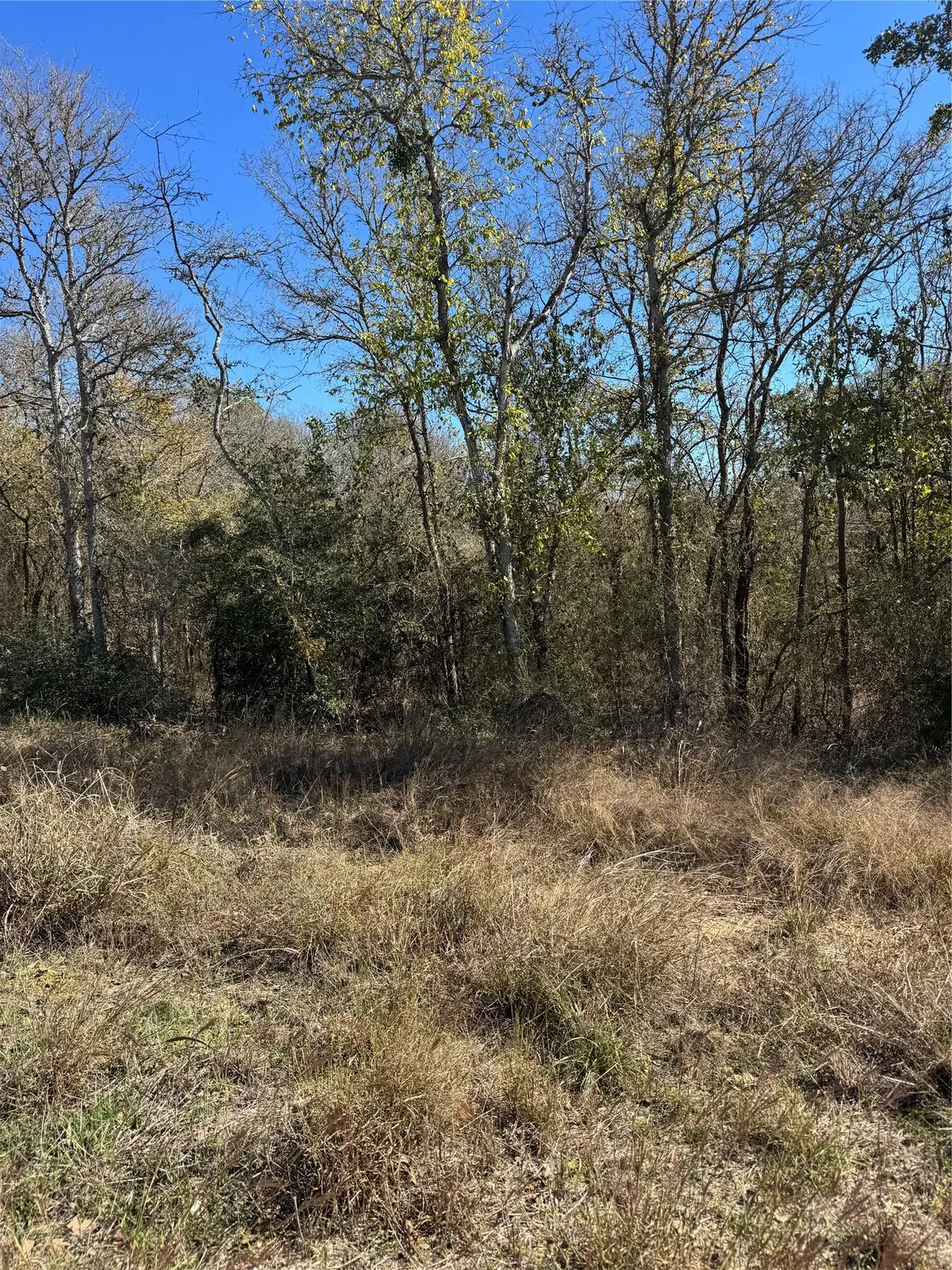 Lot 1013 Diamond Head Dr, Bastrop, TX 78602 - Image #1