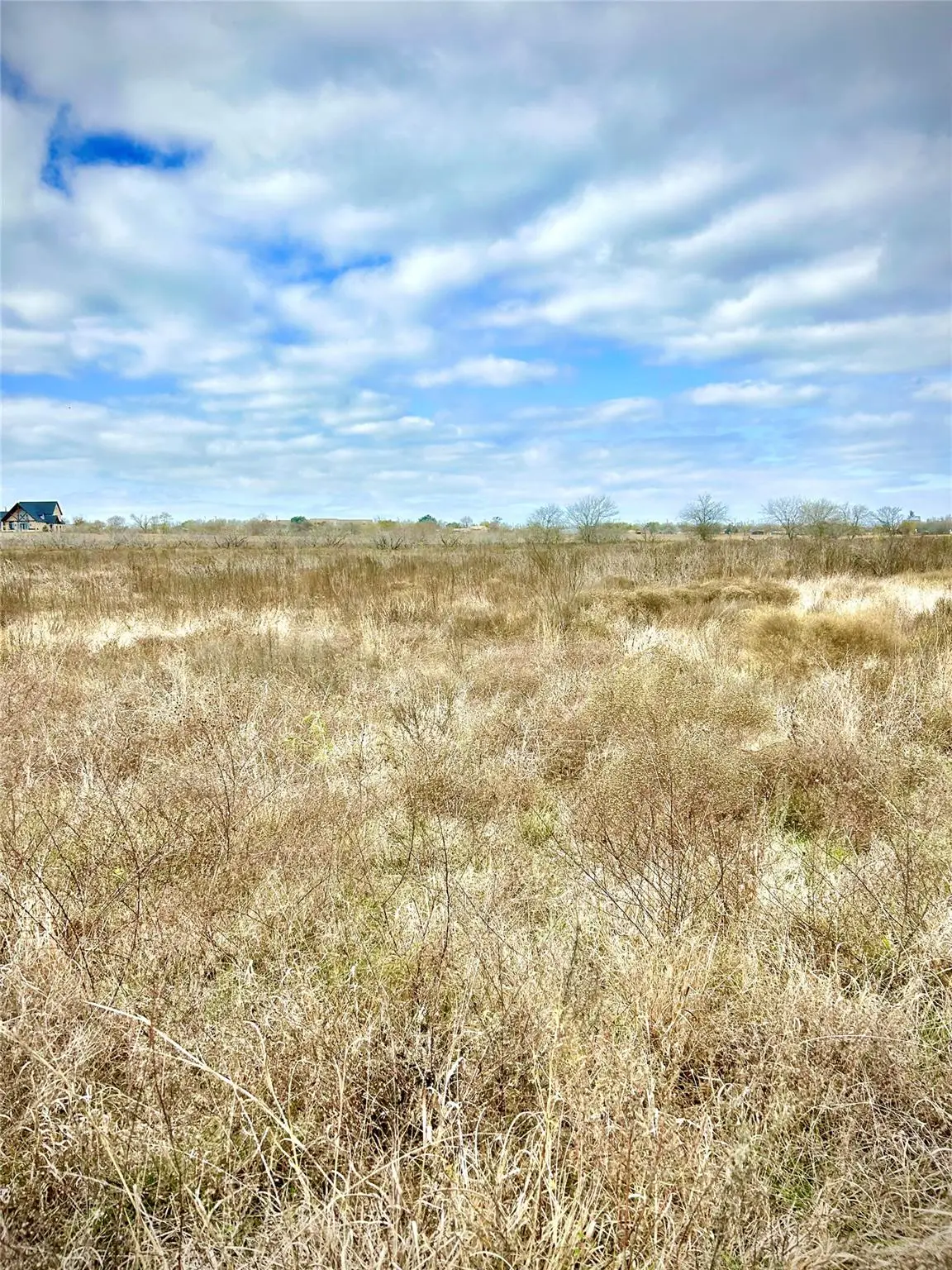 TBD Tx 36, Rogers, TX 76569 - Image #1
