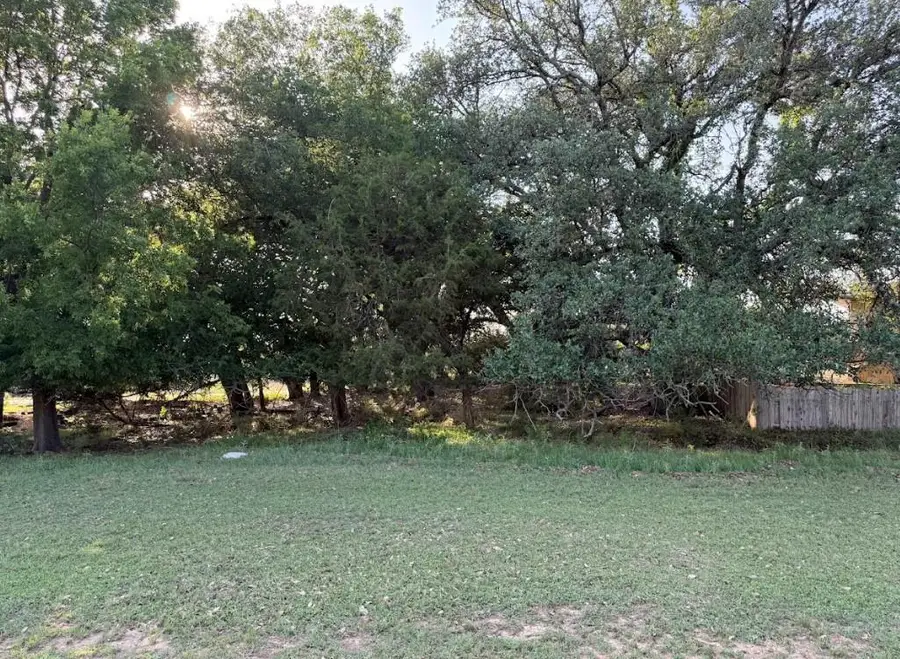 4209 Rockwood Dr, Lago Vista, TX 78645 - Image #3