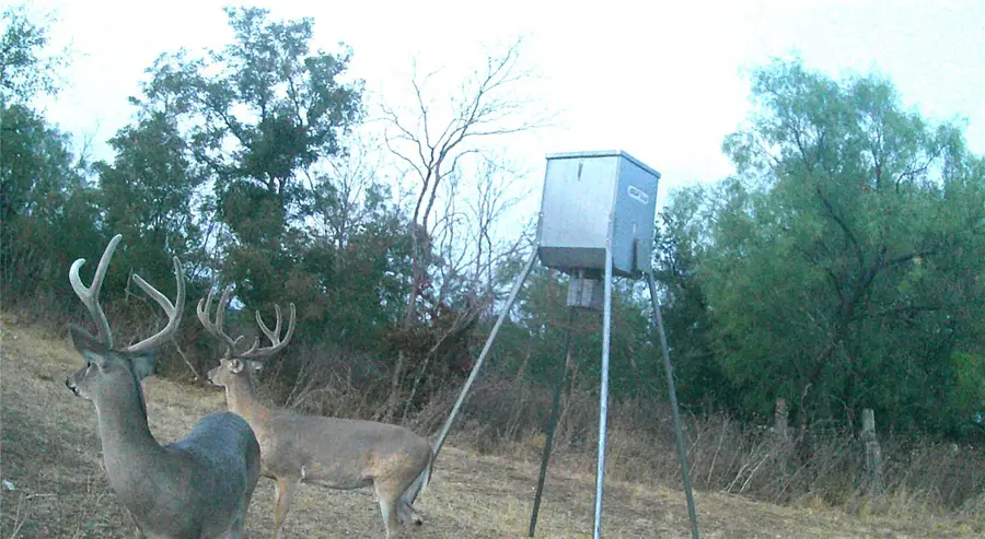 21255 Fm 580 W, Bend, TX 76824 - Image #2