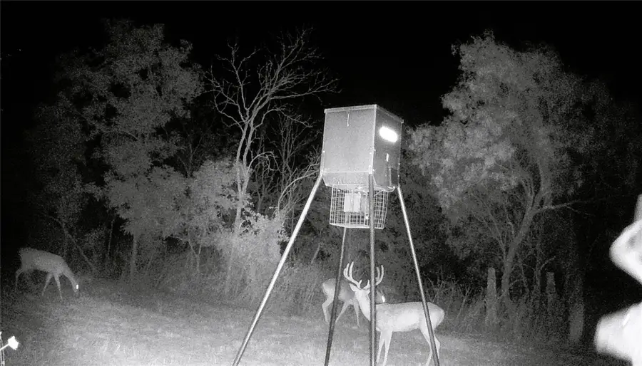 21255 Fm 580 W, Bend, TX 76824 - Image #3