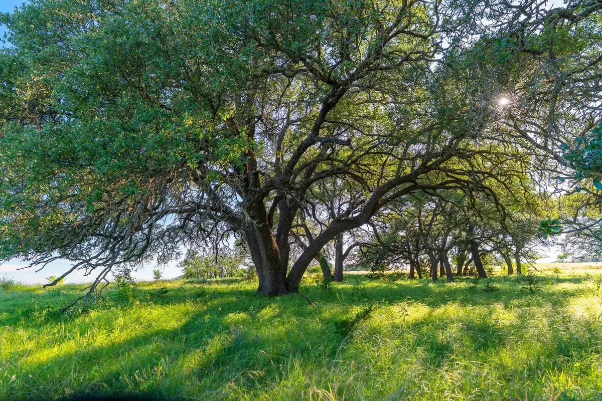 28 Feild Ranch Rd, Burnet, TX 78611 - #1