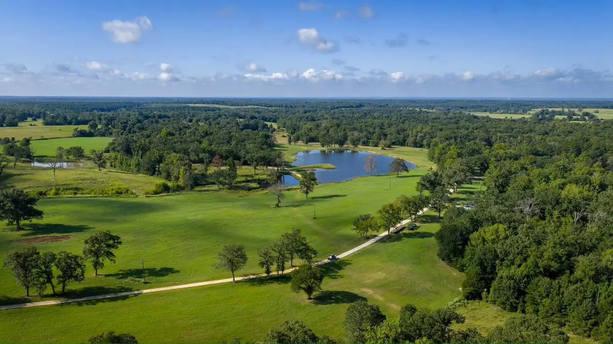 1577 County Road 431, Tennessee Colony, TX 75861 - Image #1