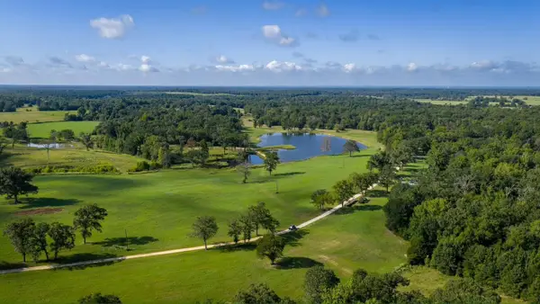 1577 County Road 431, Tennessee Colony, TX 75861