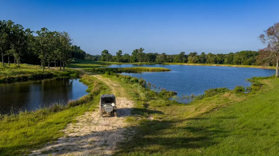 1577 County Road 431, Tennessee Colony, TX 75861 - Image #2