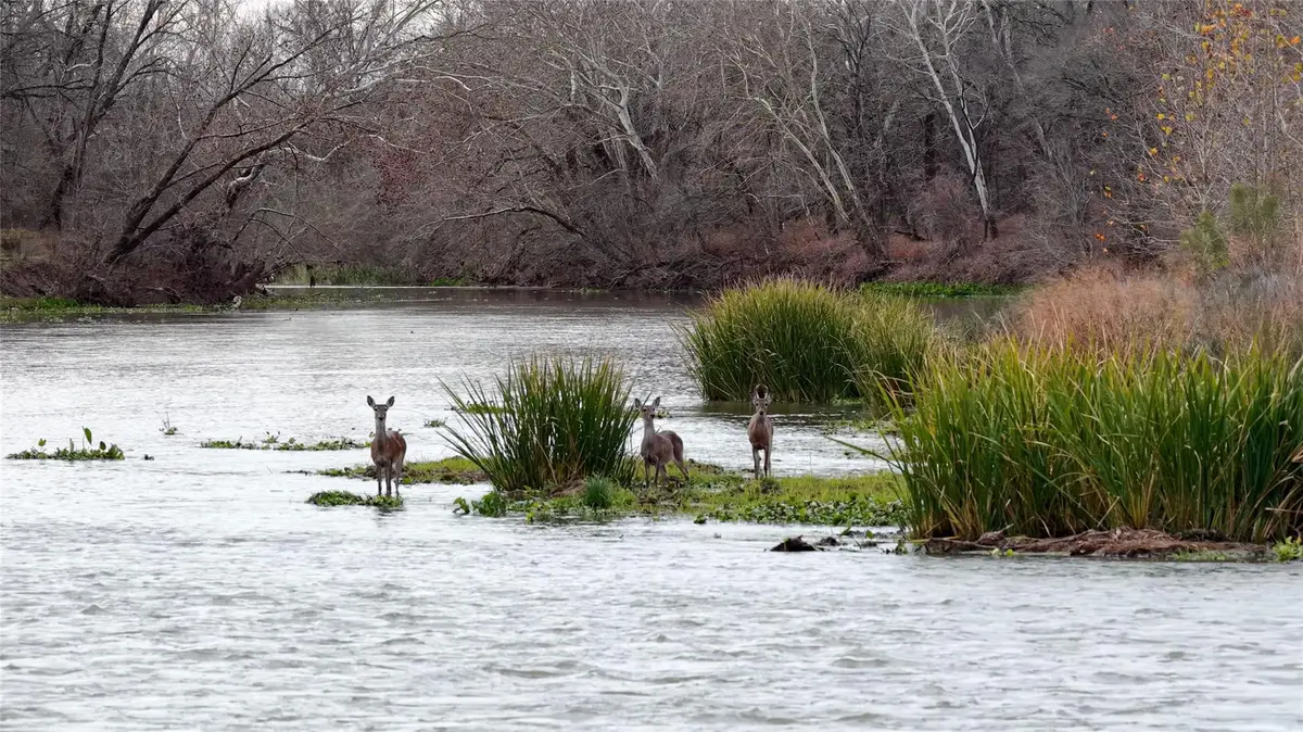 256 Greasy Bnd, Smithville, TX 78957 - Image #1