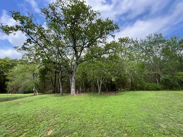 117 Allison Cv, Elgin, TX 78621 - #3