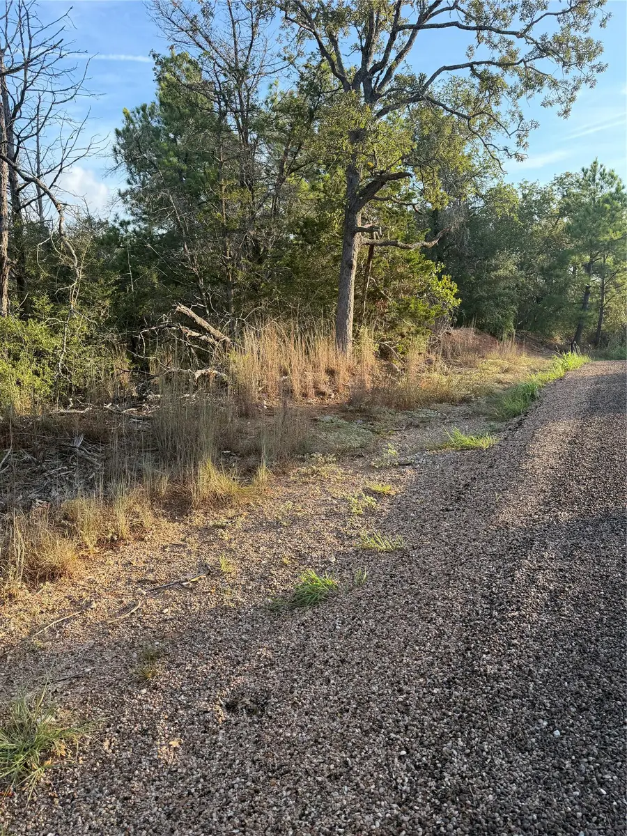 142 Helemano Dr, Bastrop, TX 78602 - #3