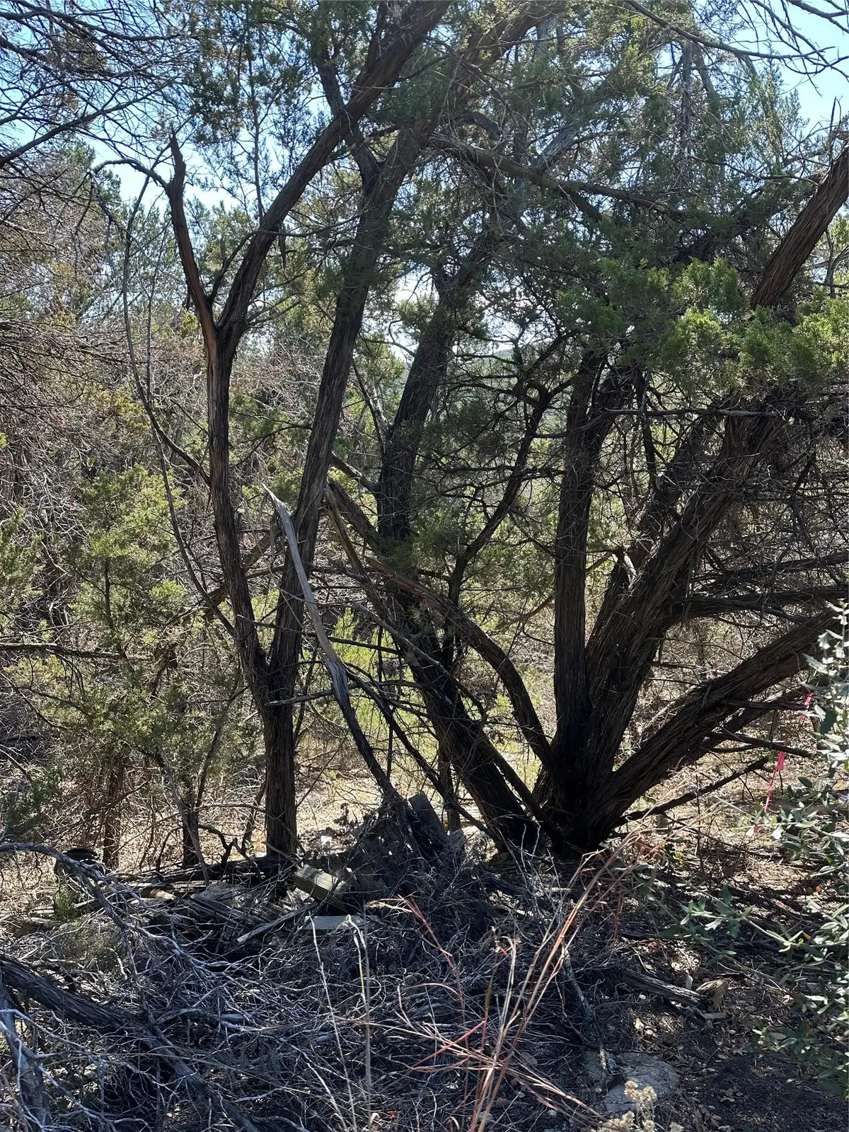 9332 Oxbow Cir, Lago Vista, TX 78645 - Image #1