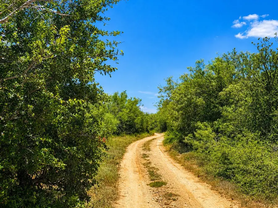 221 Fawn Ridge Rd, Cedar Creek, TX 78612 - #2