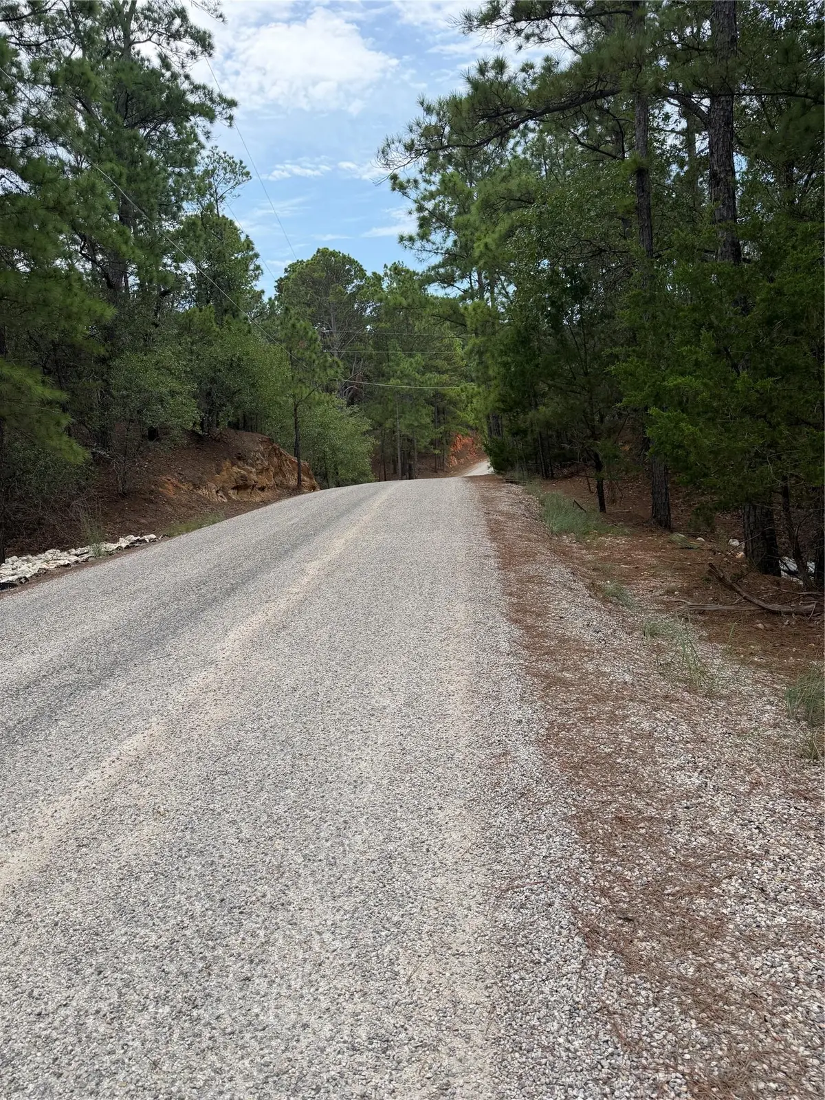 Lots 216 and 217 Hekili Dr, Bastrop, TX 78602 - #1