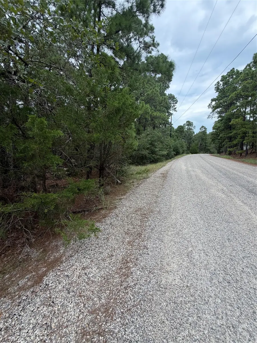 Lots 216 and 217 Hekili Dr, Bastrop, TX 78602 - #3