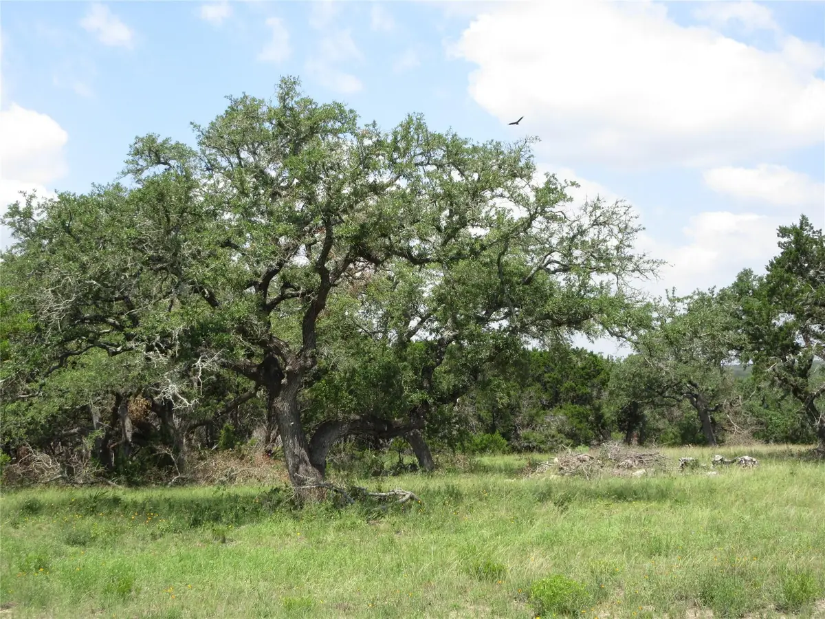 Lot 68 Toro Pass, Wimberley, TX 78676 - #1