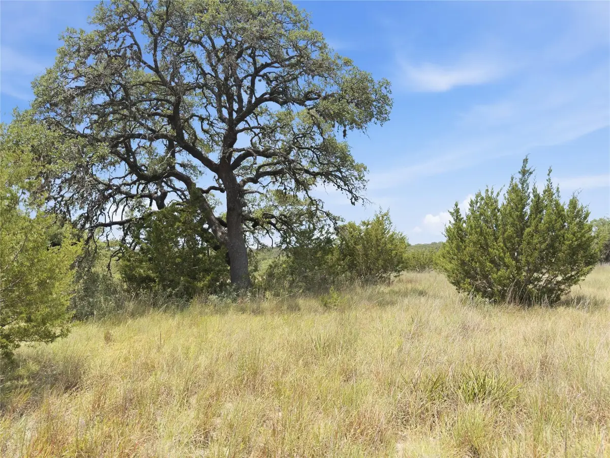 963 Summit Ridge Trail Dr, Johnson City, TX 78636 - #1
