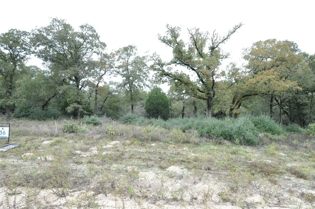 TBD Oakview Ln, Thrall, TX 76578 - #1