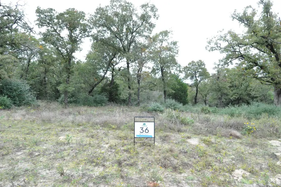 TBD Oakview Ln, Thrall, TX 76578 - #3