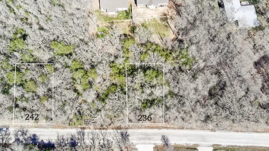 242 Iva Ln, Bastrop, TX 78602 - #3