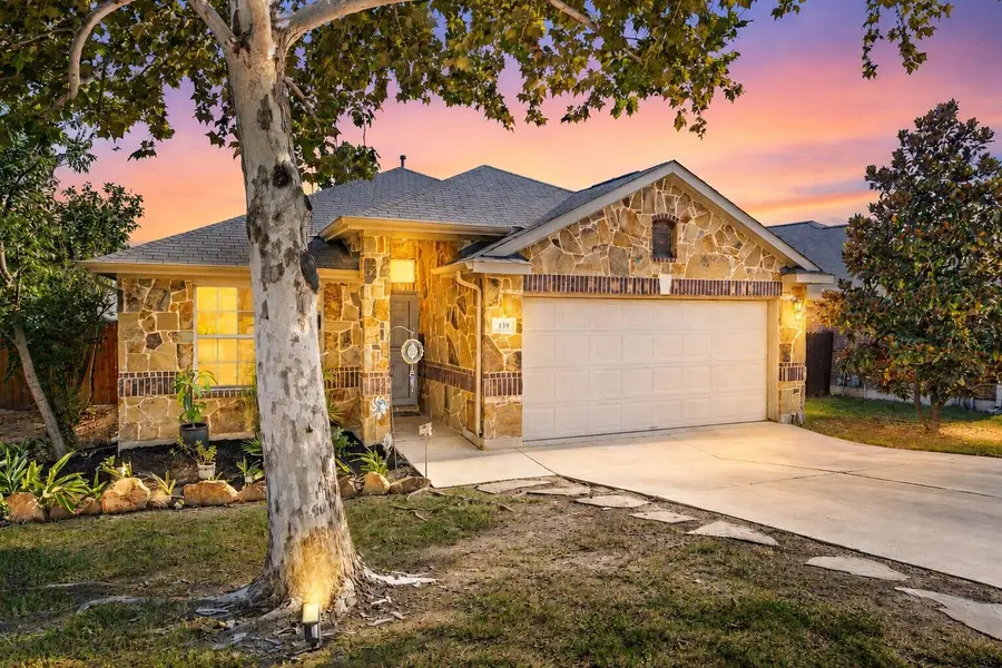 339 Strawberry Blonde Dr, Buda, TX 78610 - #2