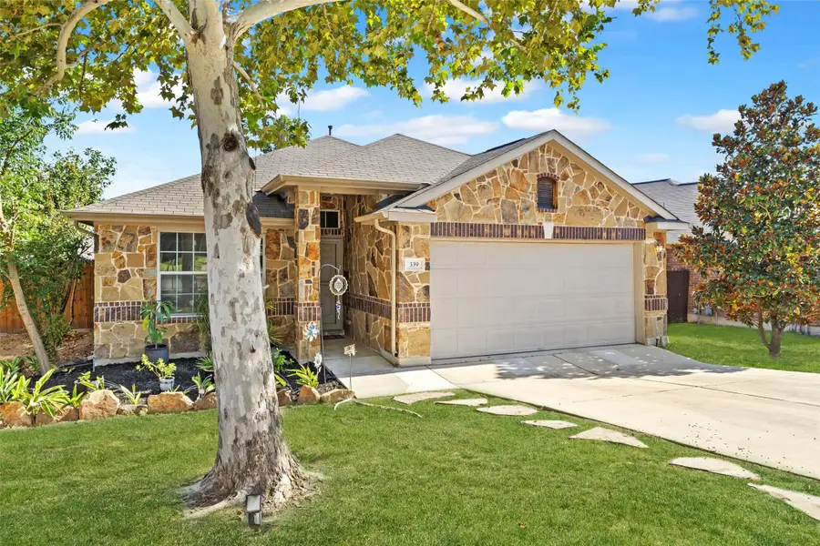 339 Strawberry Blonde Dr, Buda, TX 78610 - #3