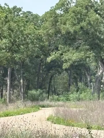 #2