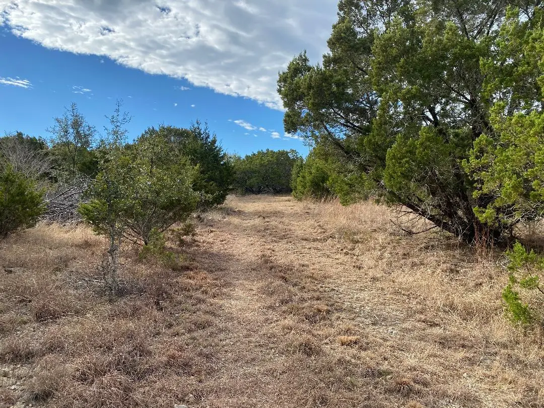 TBD County Road 106, Lampasas, TX 76550 - #1
