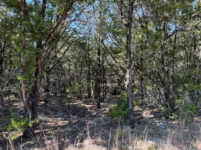 TBD Dew Drop, Horseshoe Bay, TX 78657 - #3